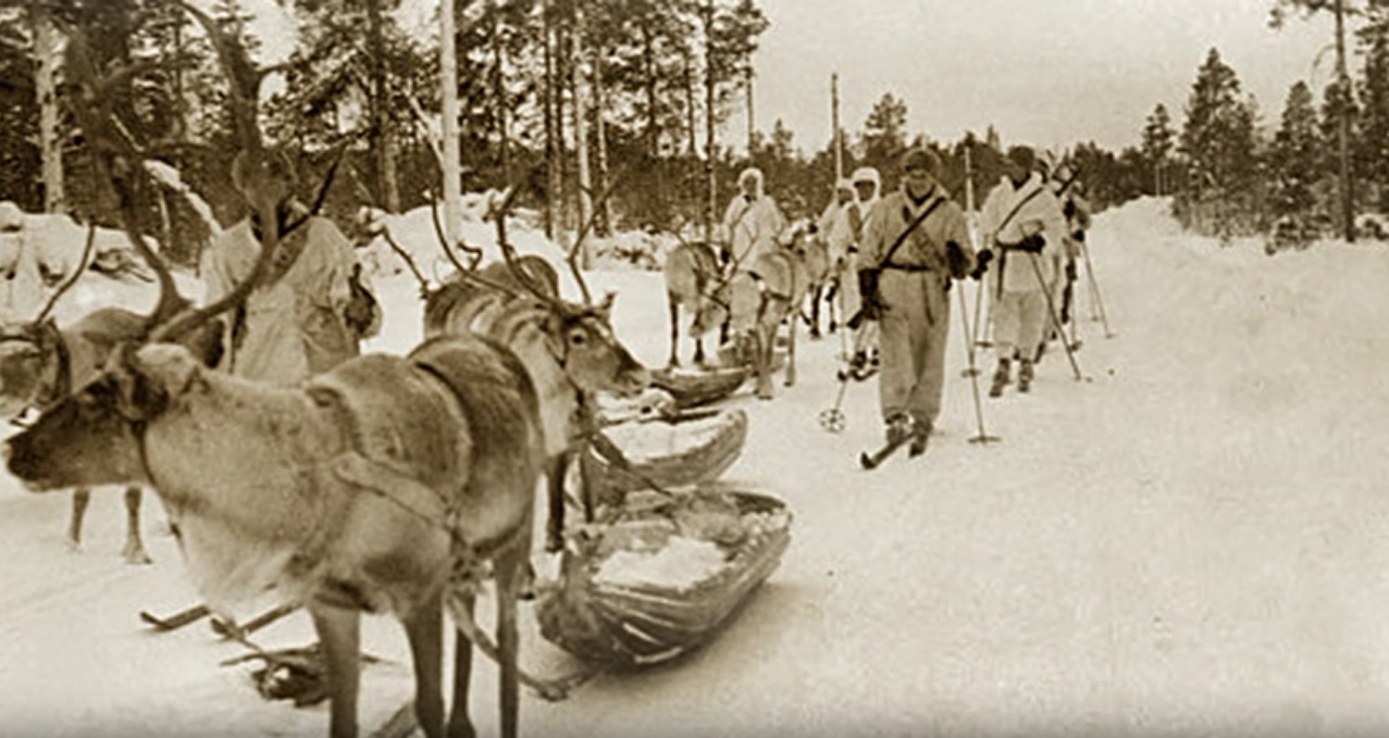 Верблюды на войне фото