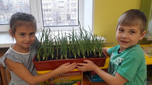 Выгоняем лук