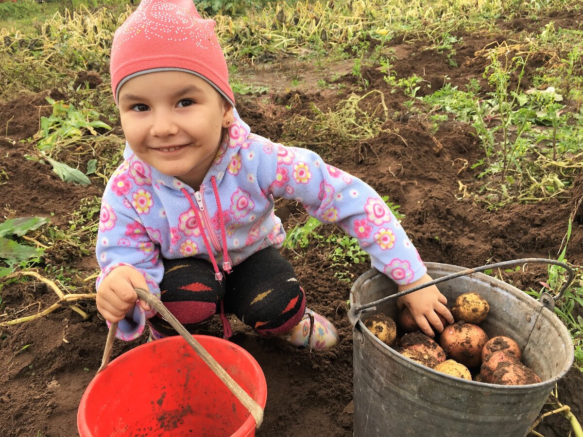 Вы — помощник