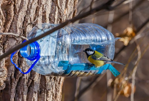 Как сделать кормушку для птиц из пластиковой бутылки 5 литров