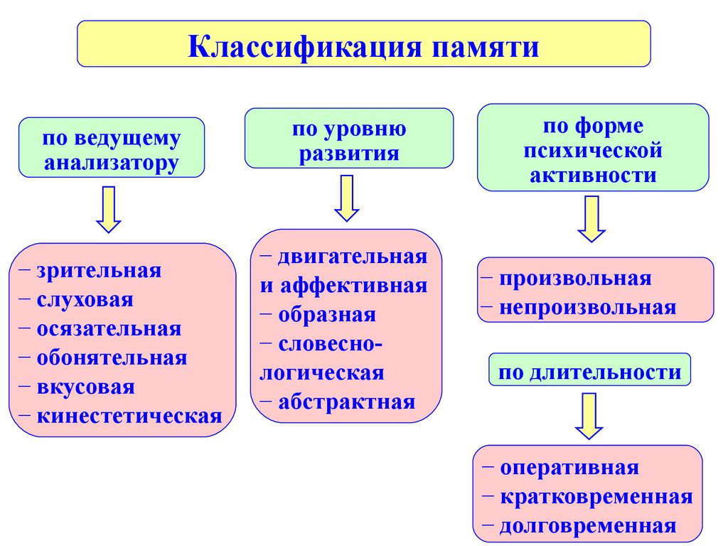 Основные виды памяти презентация