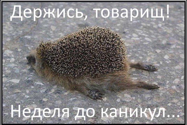 Держись , товарищ!