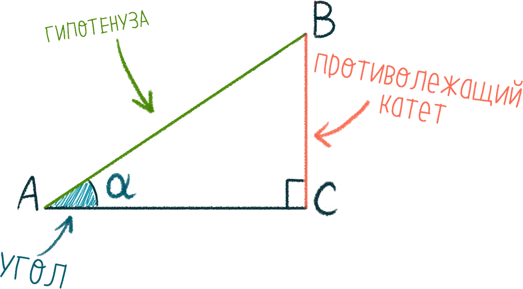Что такое sin острого угла прямоугольного треугольника