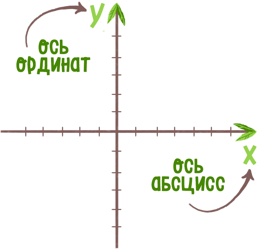 Ось абсцисс координаты