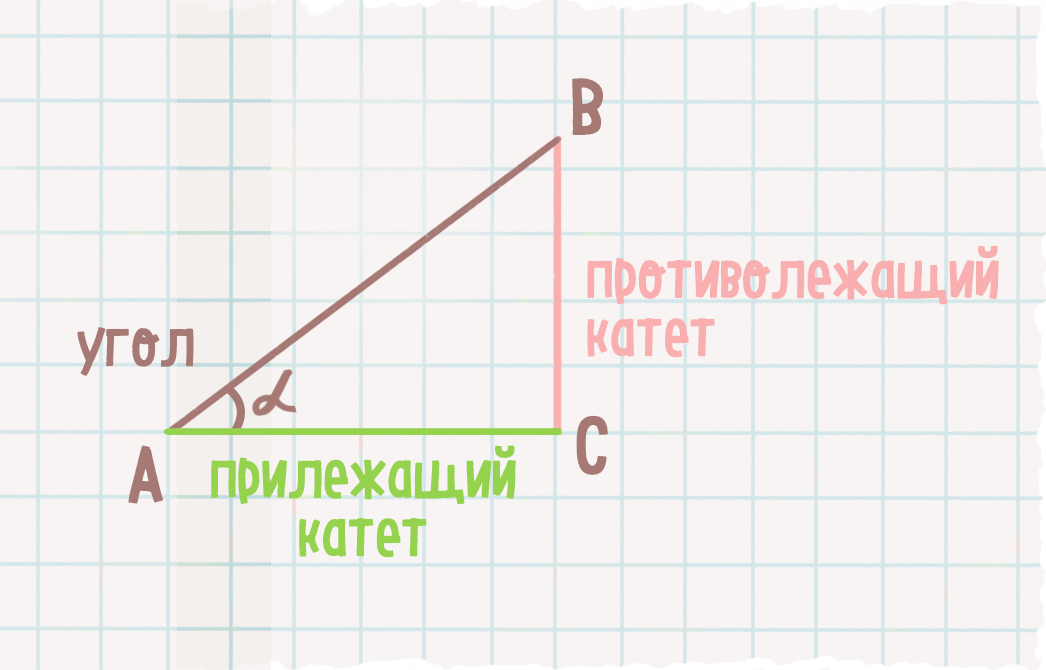 Тригонометрические функции острого угла прямоугольного треугольника 8 класс мерзляк презентация урок